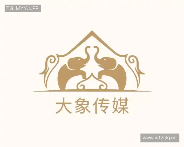 知道大象传媒